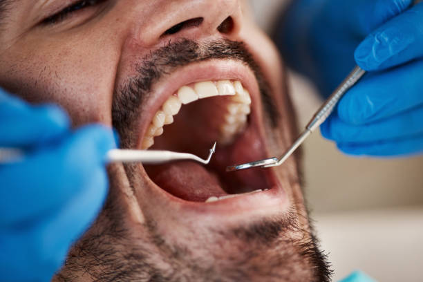 Best Walk-In Dentist Near Me  in Thompsonville, PA
